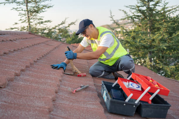 Best Metal Roofing Contractor  in Oak Hill, TN